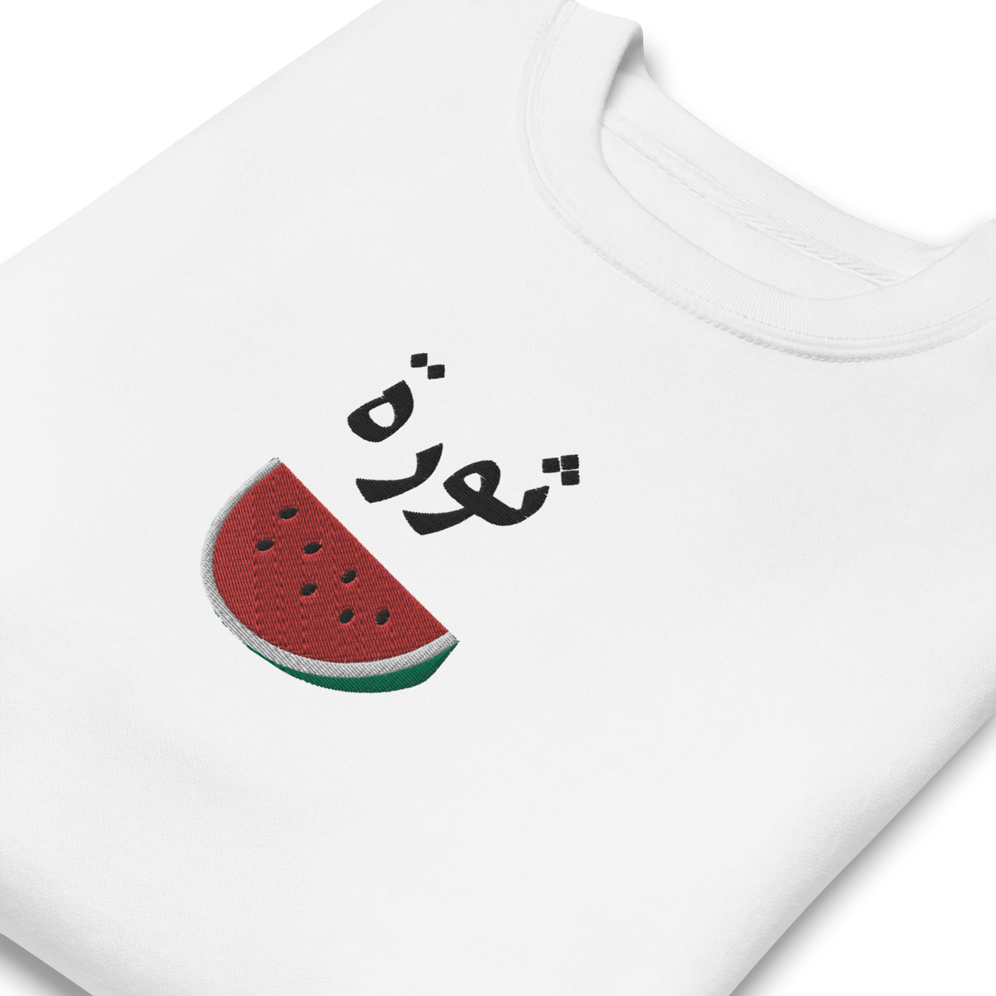 Revolution Watermelon Embroidered Unisex Sweatshirt