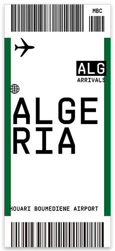 Luggage Tag Stickers 🧳