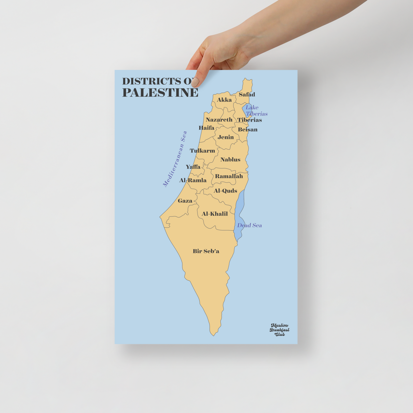 Districts of Palestine Poster