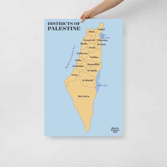 Districts of Palestine Poster