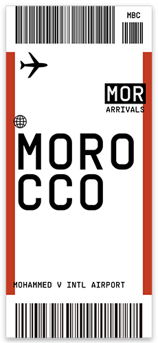 Luggage Tag Stickers 🧳