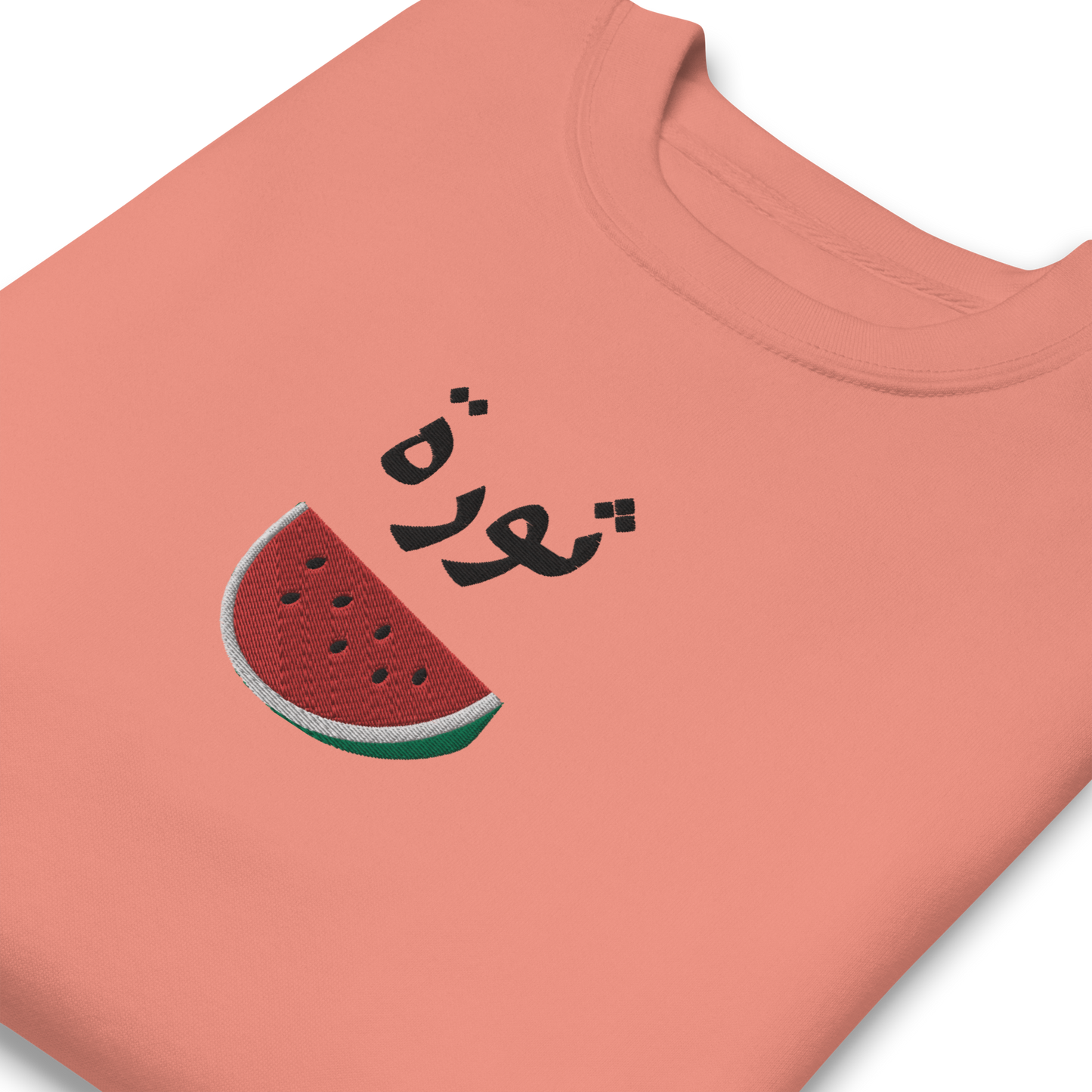 Revolution Watermelon Embroidered Unisex Sweatshirt