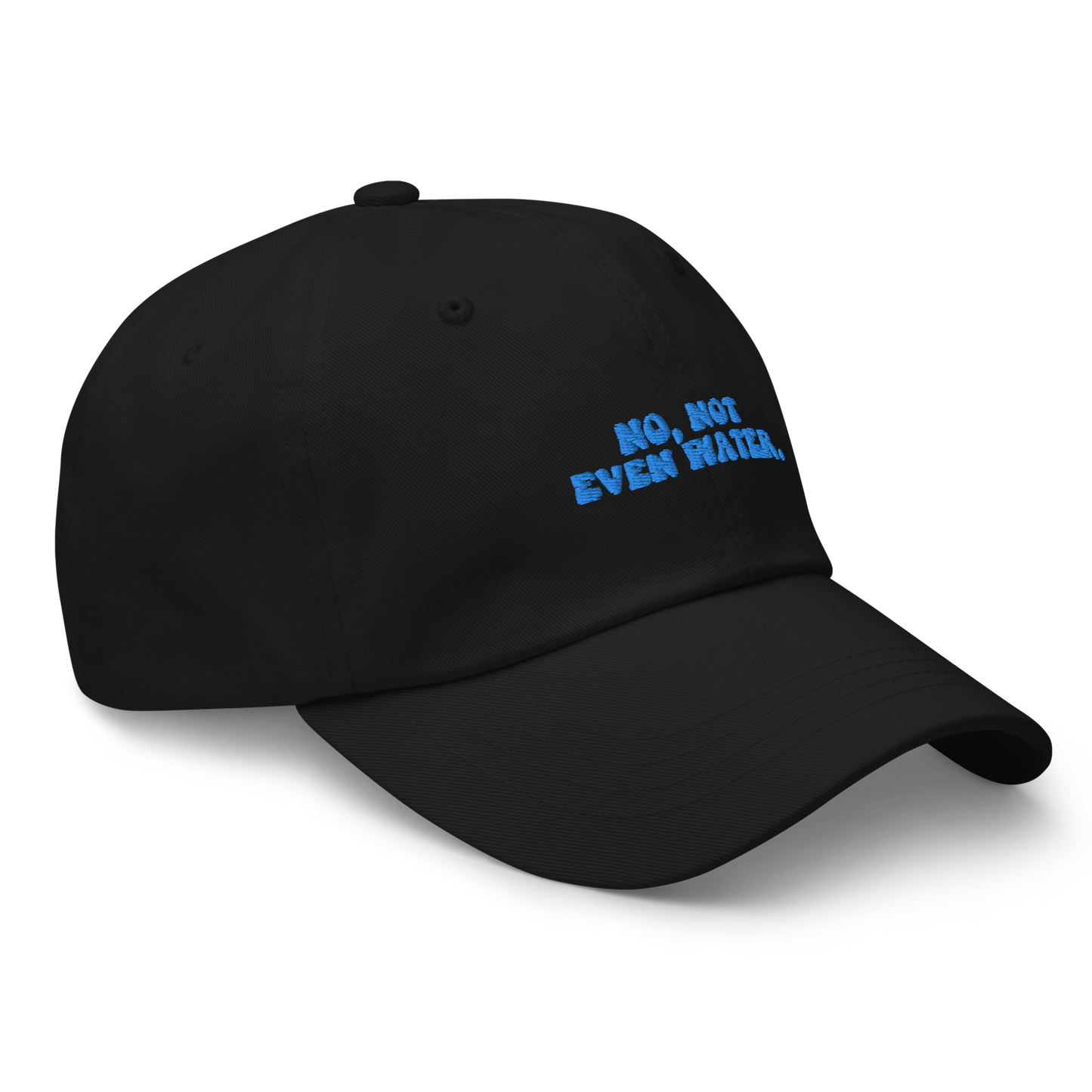 No, Not Even Water Dad Hat