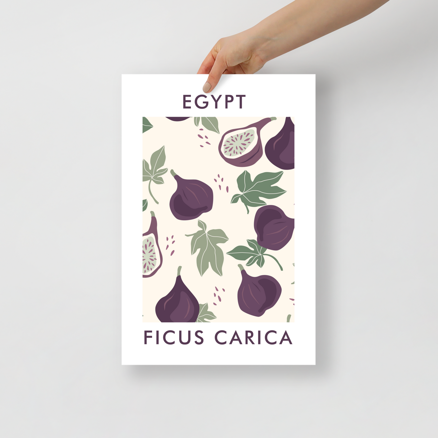 Egypt Fig Unframed Poster