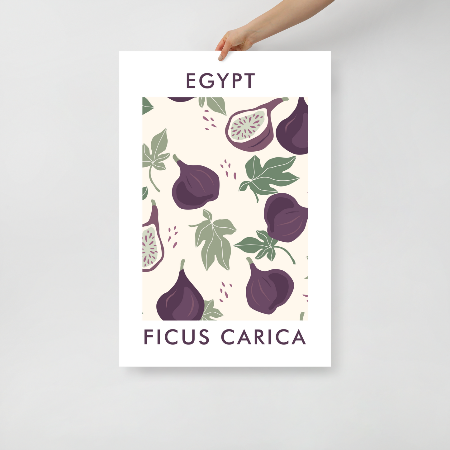 Egypt Fig Unframed Poster